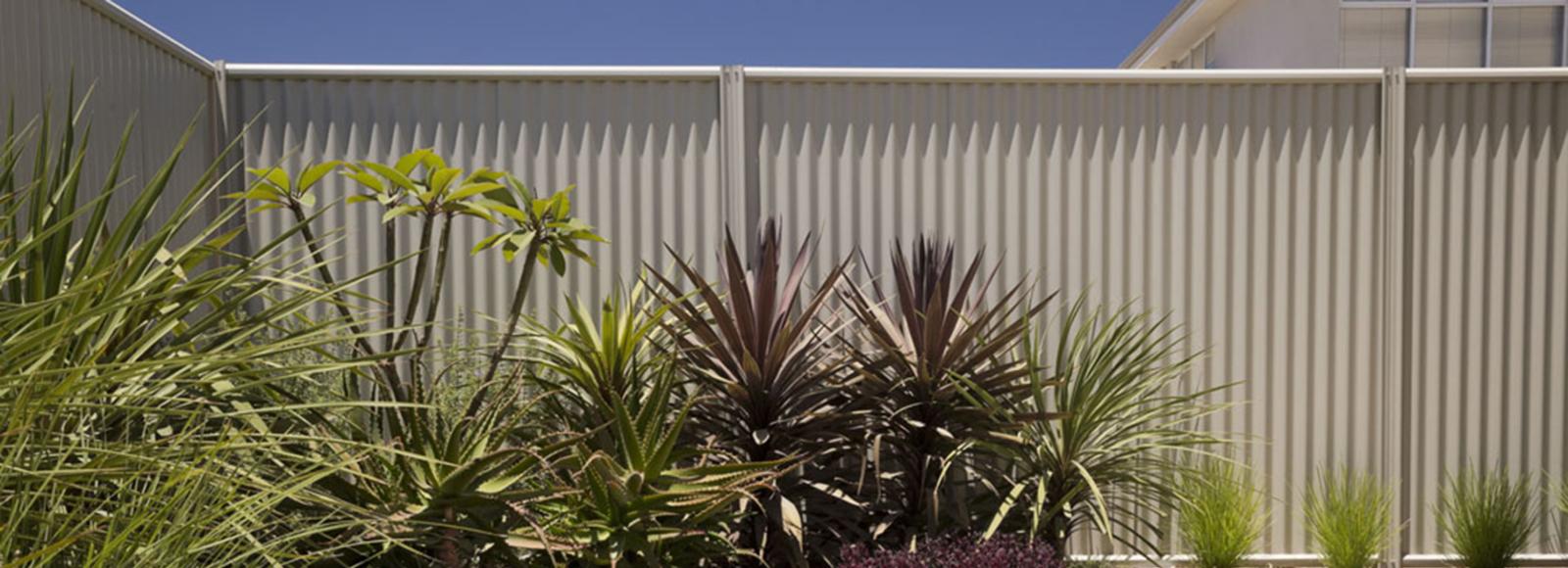 COLORBOND FENCE