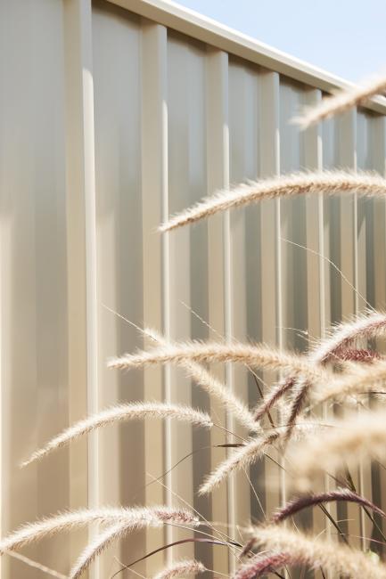 NEETASCREEN fencing made from COLORBOND steel in colour Domain