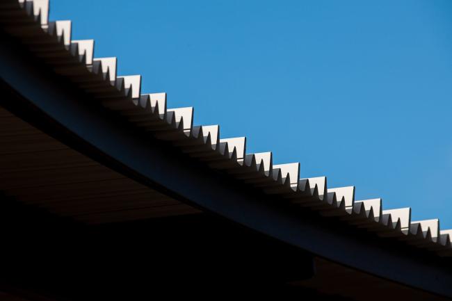 Trevor Williams - Taronga Western Plains Zoo